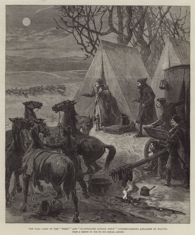 La guerra, campamento de los corresponsales del "Times" y "Illustrated London News" atacado por lobos (grabado) de English School