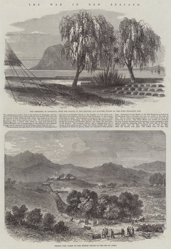 La guerra en Nueva Zelanda de English School