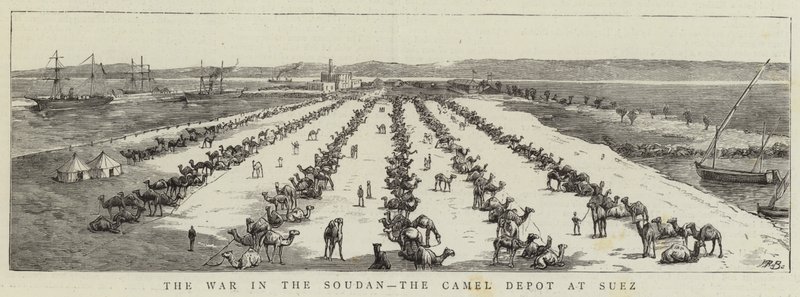 La guerra en Sudán, el depósito de camellos en Suez (grabado) de English School