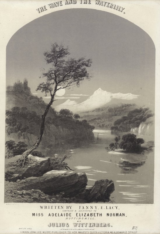 La ola y el nenúfar de English School