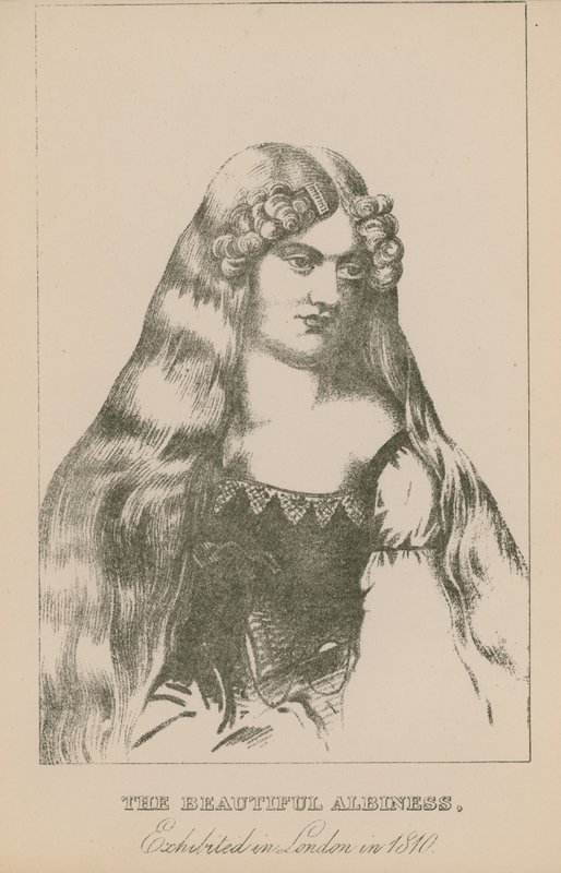 La hermosa albina, exhibida en Londres en 1810 de English School