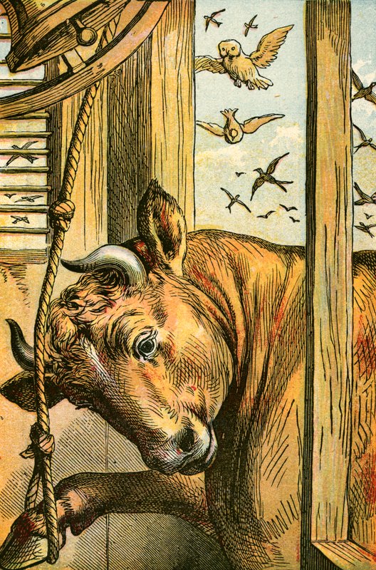 El toro tocando la campana de English School