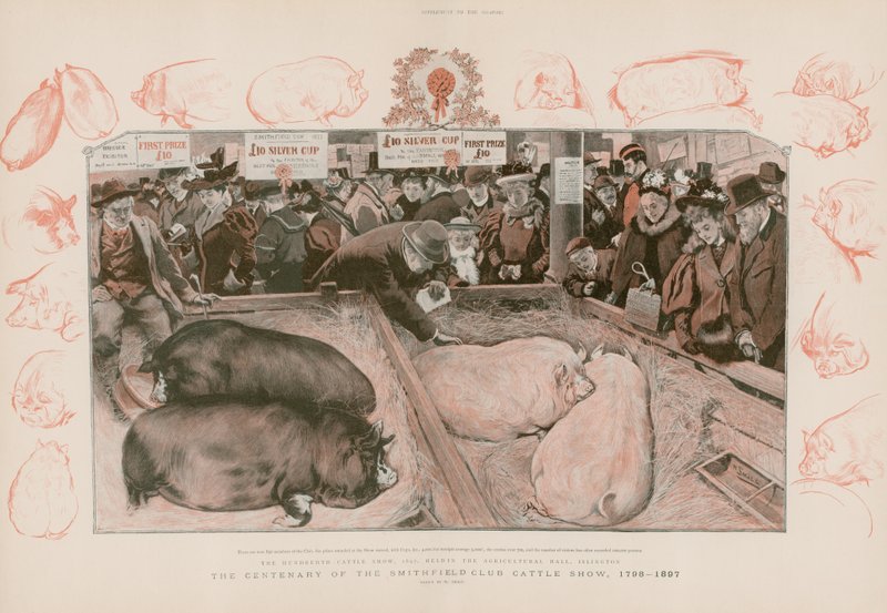 El centenario de la Exposición de Ganado del Club Smithfield de English School