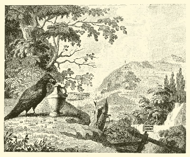 El cuervo y el cántaro (grabado) de English School