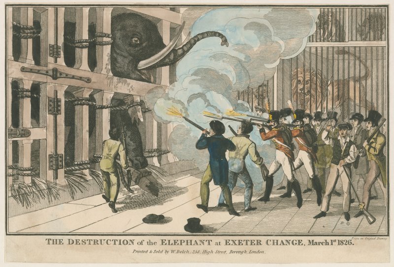 La destrucción del elefante en Exeter Change, 1 de marzo de 1826 de English School
