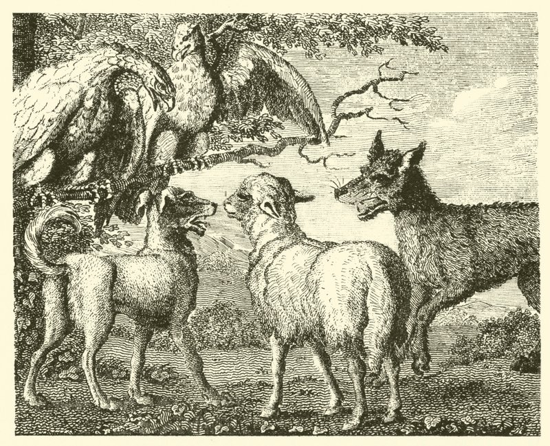 El perro y la oveja (grabado) de English School