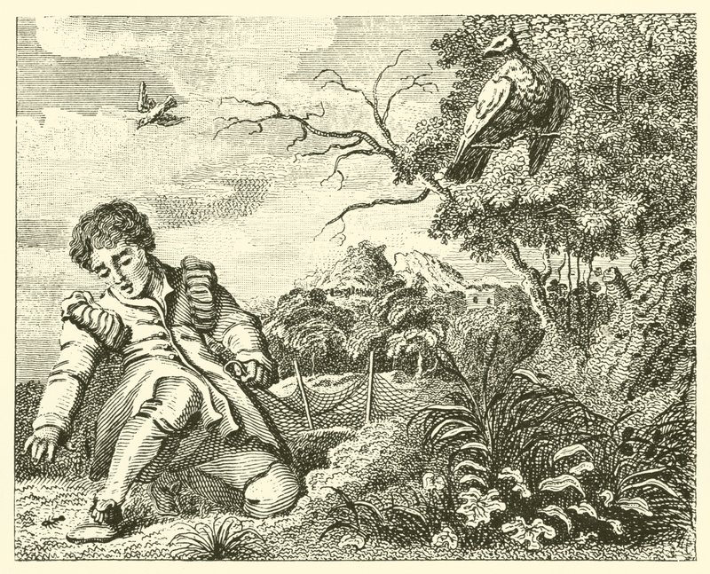 La paloma y la hormiga (grabado) de English School