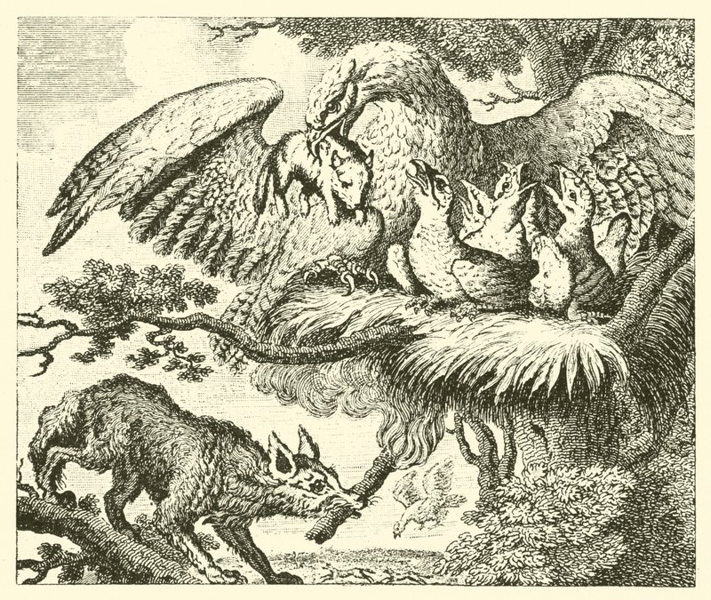 El águila y el zorro (grabado) de English School