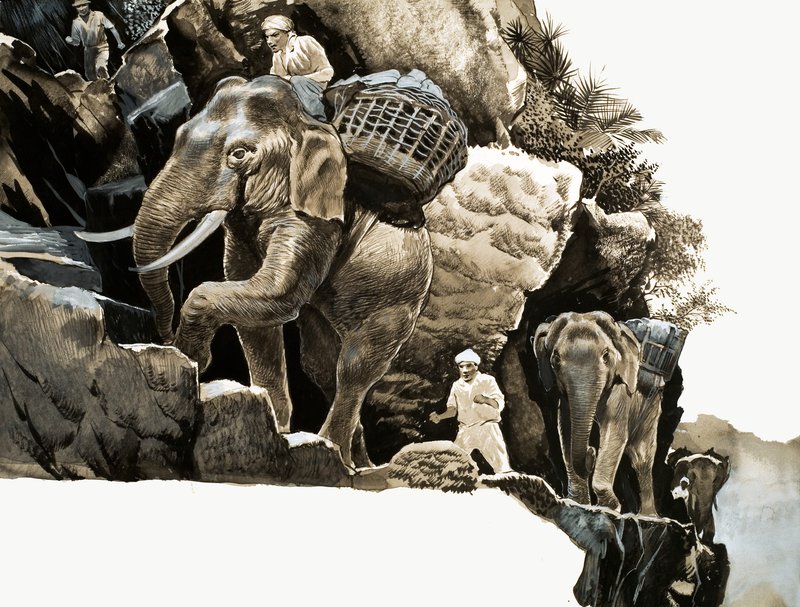 La travesía del elefante de Elephant Bill de English School