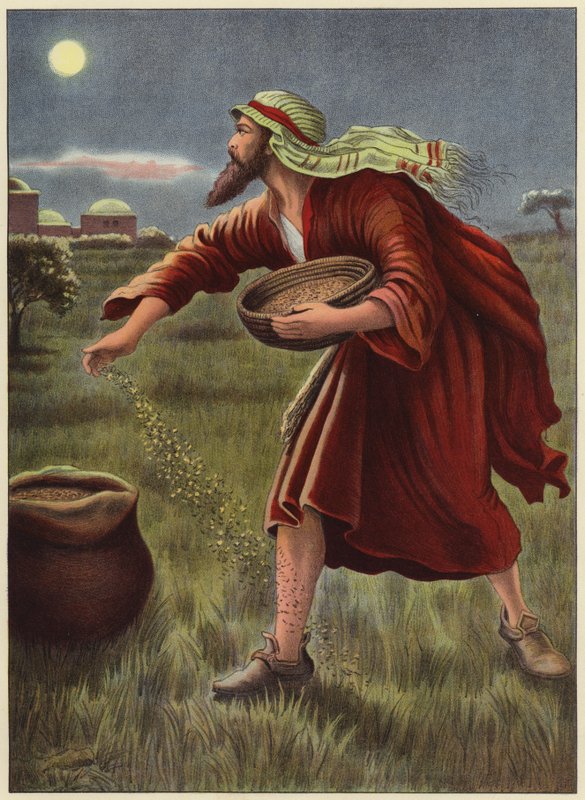 El enemigo sembrando cizaña de English School