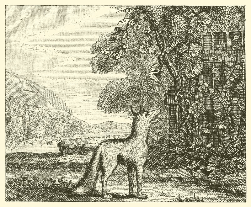 El zorro y las uvas (grabado) de English School