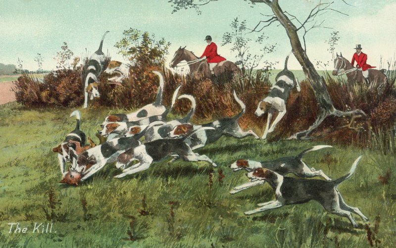 La caza del zorro de English School