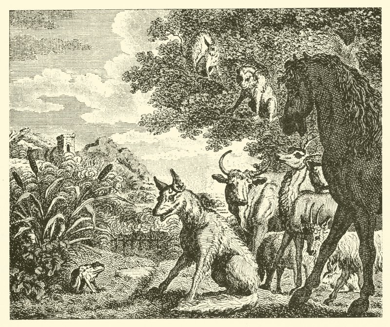 La rana y el zorro (grabado) de English School