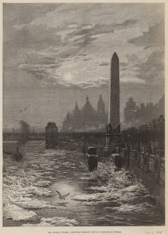 El Támesis congelado - gaviotas girando alrededor de la Aguja de Cleopatra de English School