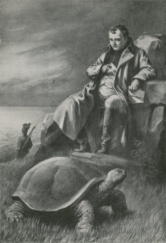 La tortuga gigante que vio a Napoleón de English School