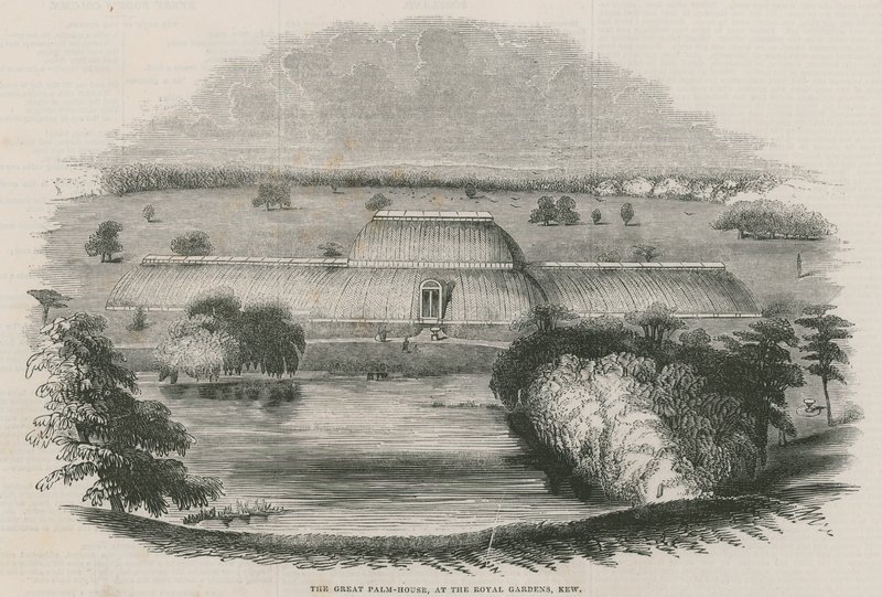 La gran Casa de las Palmas en los Jardines Reales, Kew, Londres de English School