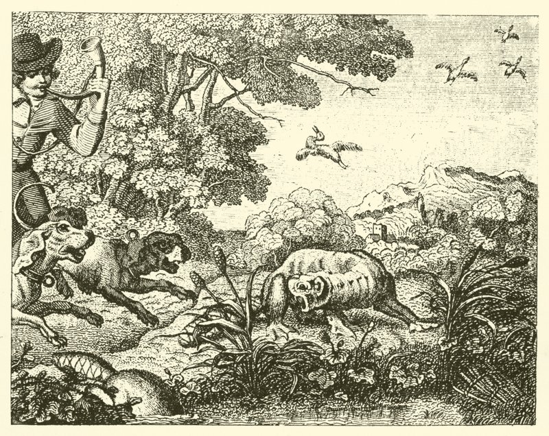 El castor cazado (grabado) de English School