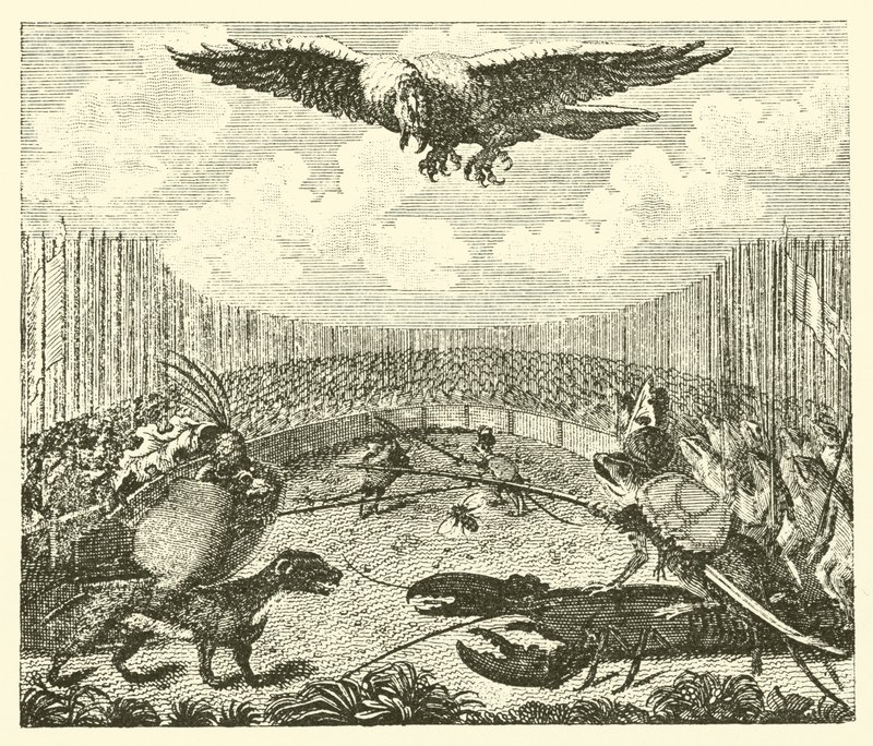 La cometa, la rana y el ratón (grabado) de English School