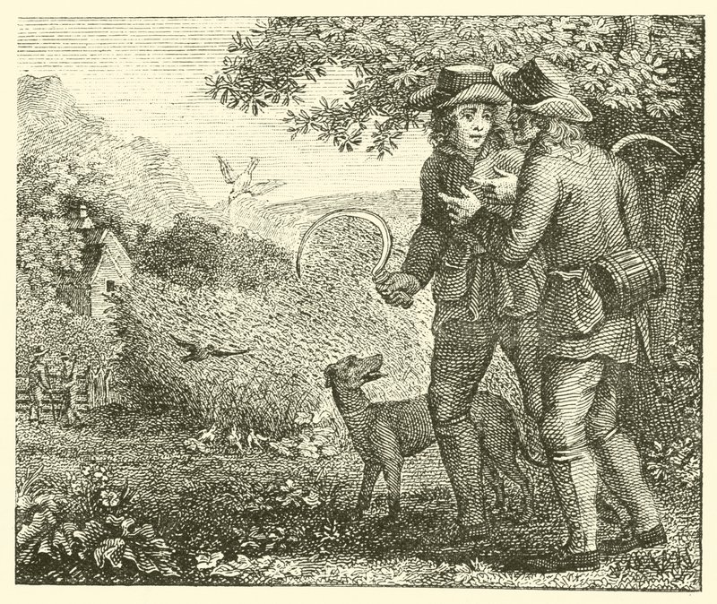 La alondra y sus crías (grabado) de English School
