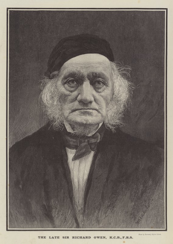 El difunto Sir Richard Owen, KCB, FRS (grabado) de English School