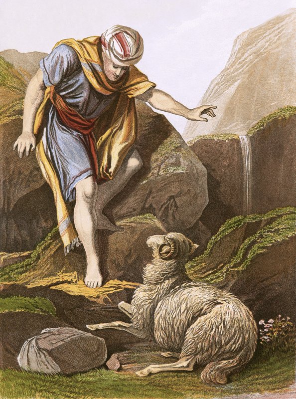 La oveja perdida de English School