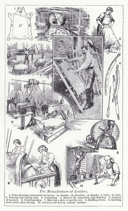 La fabricación de cuero de English School
