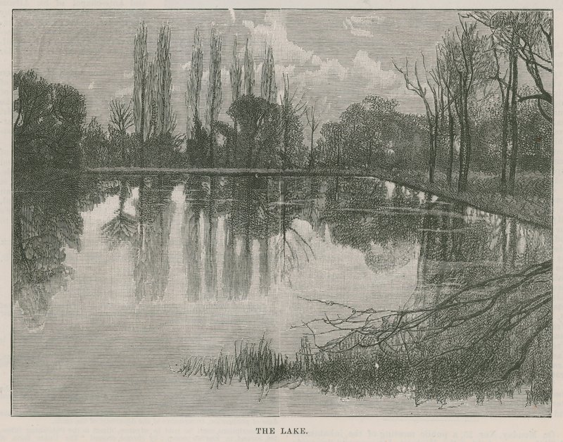 El nuevo parque público en Highgate: el lago de English School