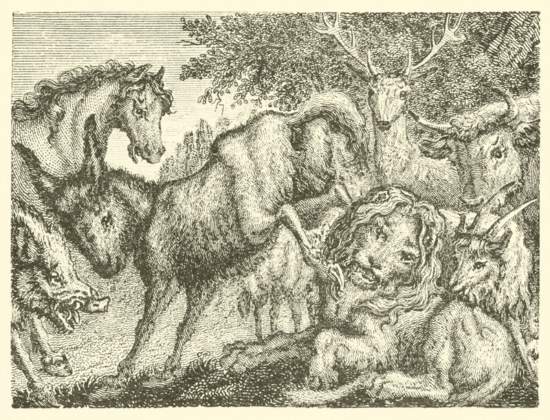 El viejo león (grabado) de English School