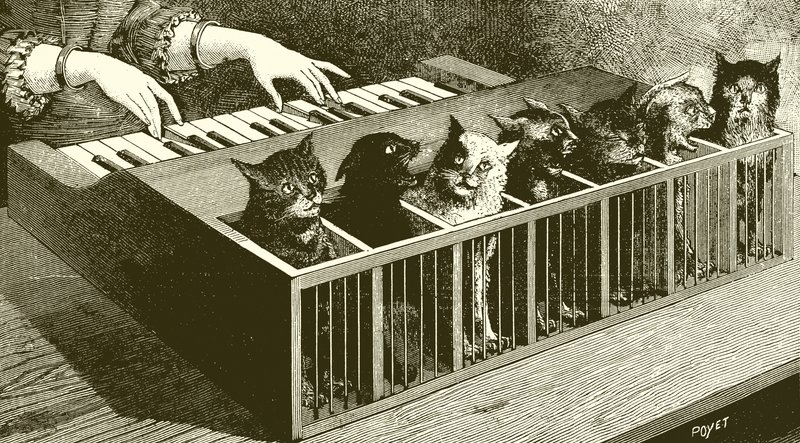 El piano de los gatos de English School