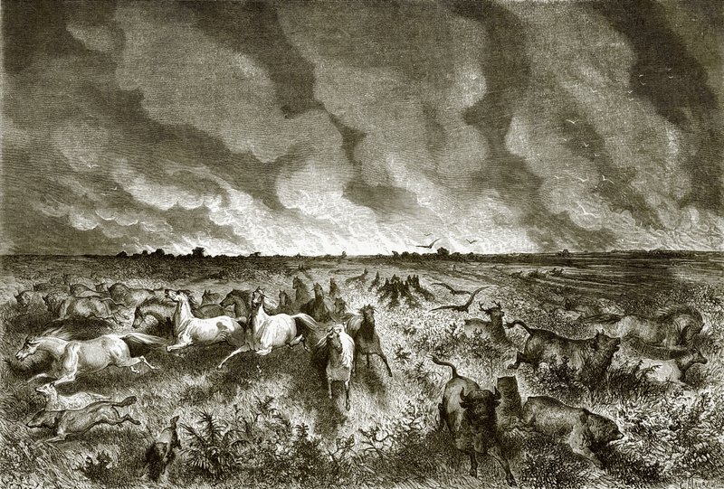 La pradera en llamas de English School