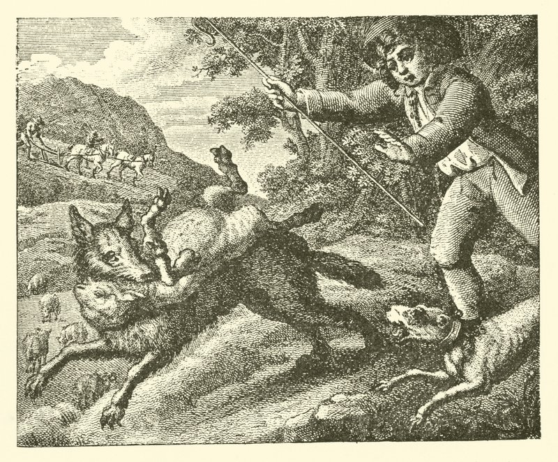 El pastorcillo (grabado) de English School