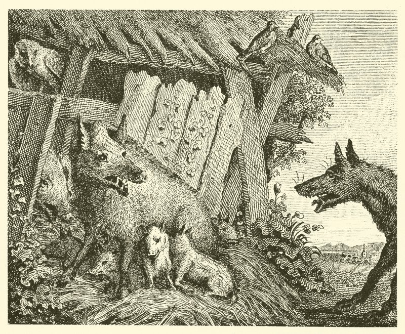 La cerda y el lobo (grabado) de English School