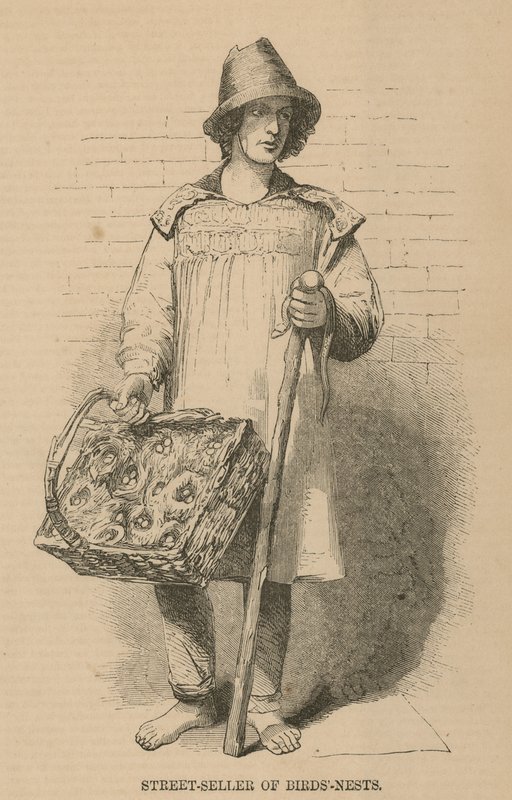 El vendedor ambulante de nidos de pájaros de English School