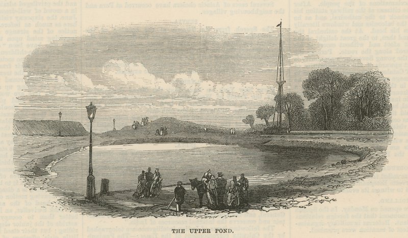 El estanque superior, Hampstead Heath de English School