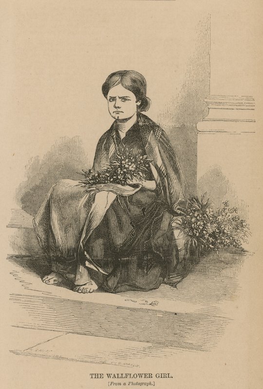 La chica de los alhelíes de English School
