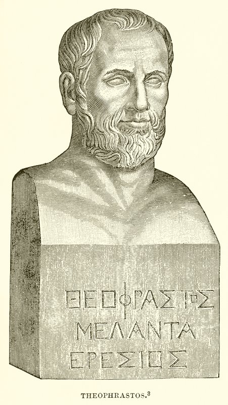 Teofrasto de English School