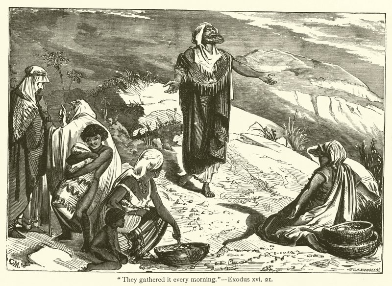"Lo recogían cada mañana", Éxodo, xvi, 21 de English School