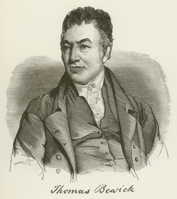 Thomas Bewick de English School