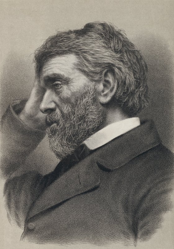 Thomas Carlyle (grabado) de English School