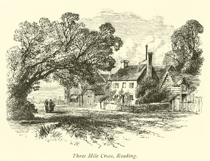 Three Mile Cross, Reading de English School