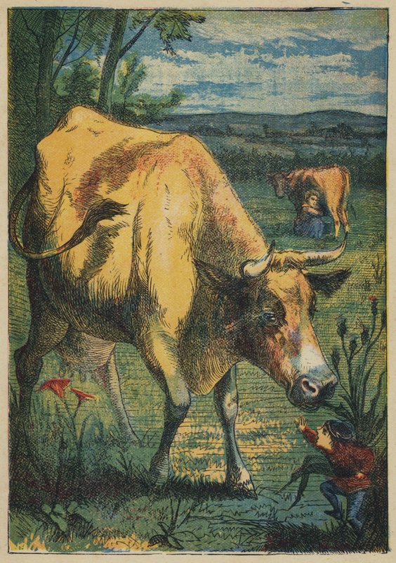 Pulgarcito y la Vaca de English School