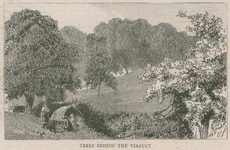 Árboles detrás del viaducto de English School