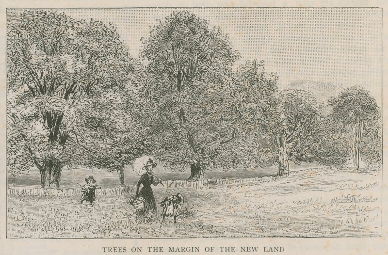 Árboles en el margen de la nueva tierra de English School