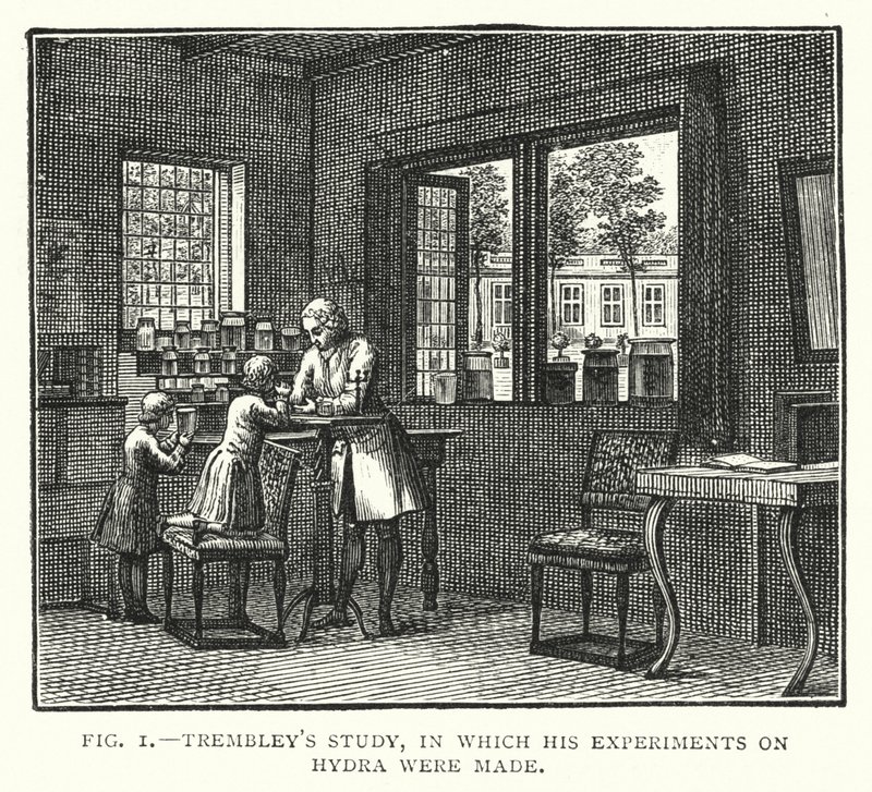 El estudio de Trembley, donde realizó sus experimentos sobre la hidra de English School