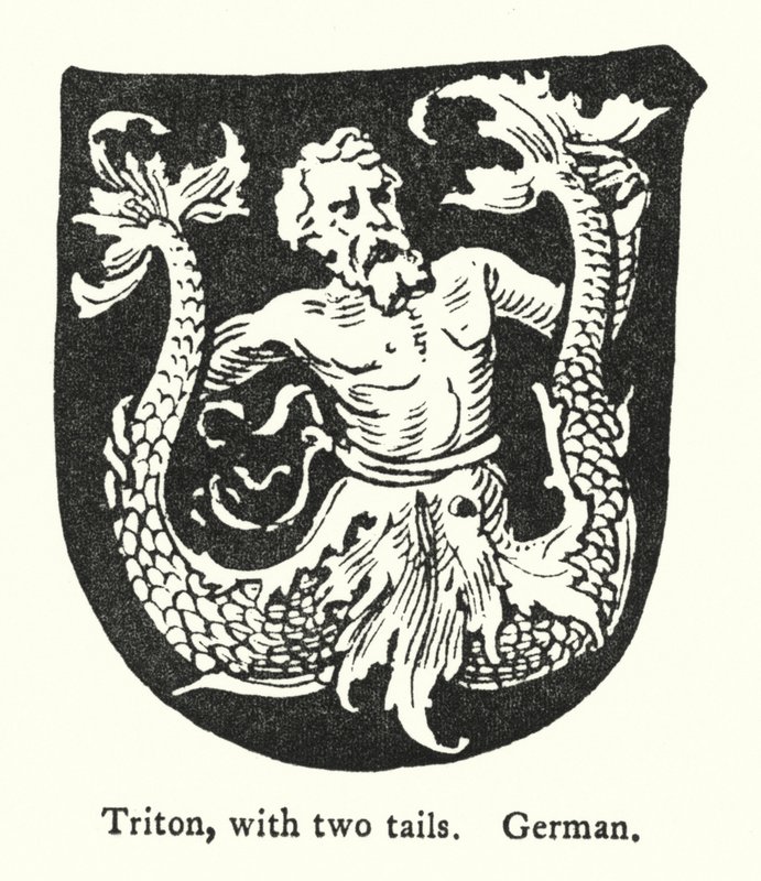 Tritón, con dos colas, alemán de English School