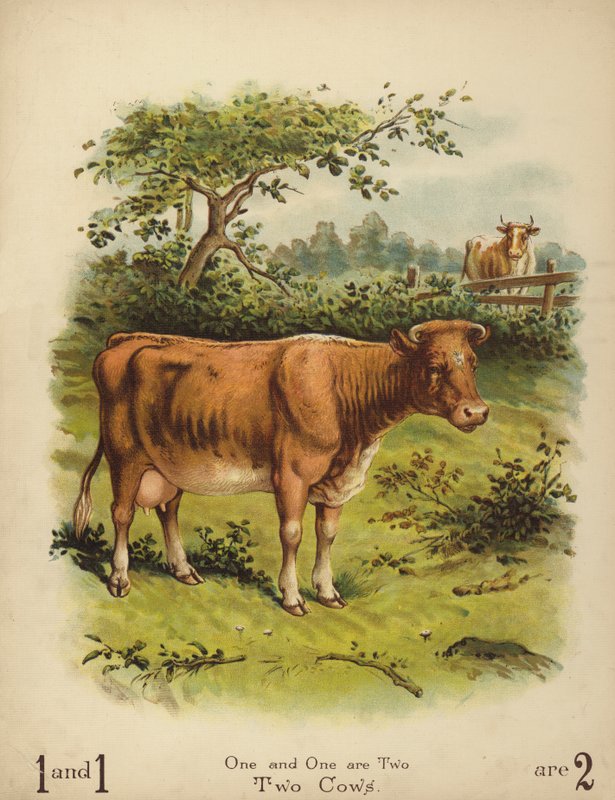 Dos vacas (cromolito) de English School