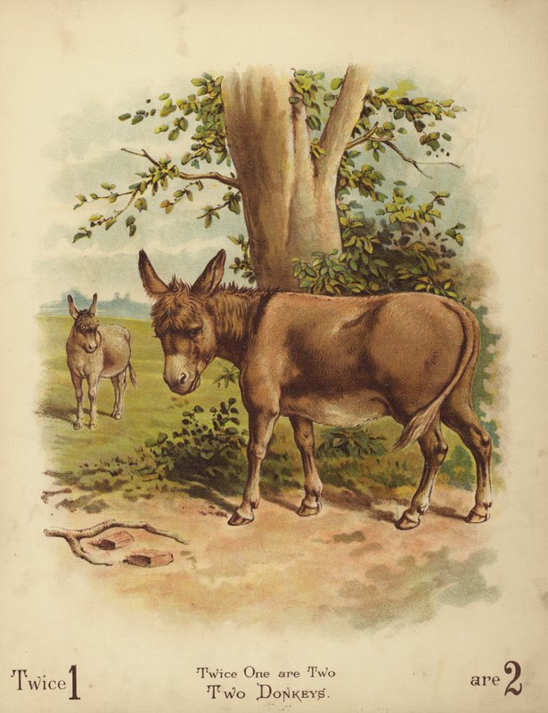 Dos burros (cromolito) de English School
