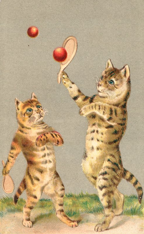Dos gatos jugando con raquetas y pelota de English School