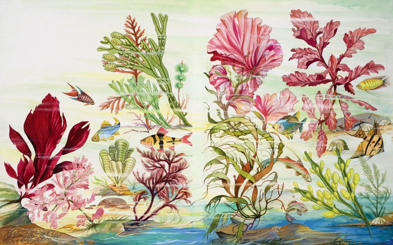 Plantas submarinas (gouache sobre papel) de English School