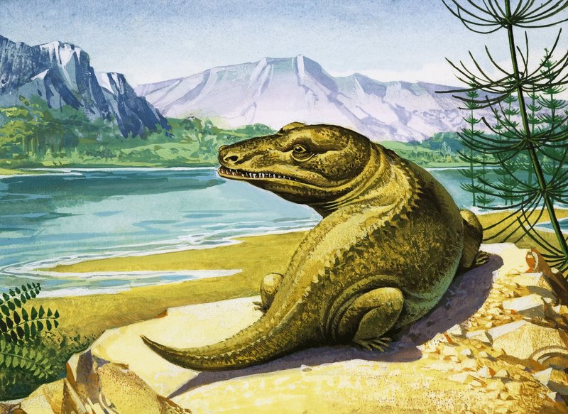Dinosaurio no identificado similar a un cocodrilo de English School